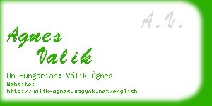 agnes valik business card