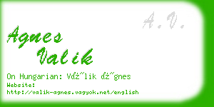 agnes valik business card